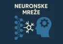 Digitalni prikaz mozga i neuronske mreže u plavim tonovima sa natpisom „Šta su neuronske mreže?“